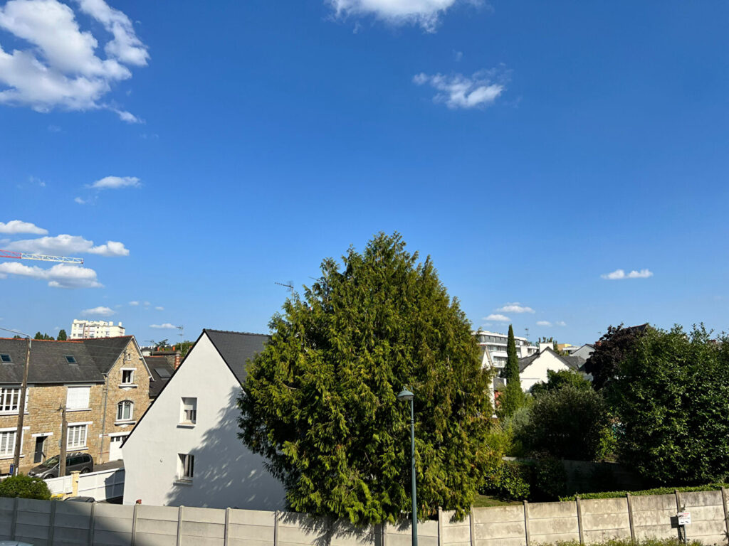 2026-170216-6.jpg